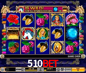 Descubra o Mundo do Cassino Online com 510bet